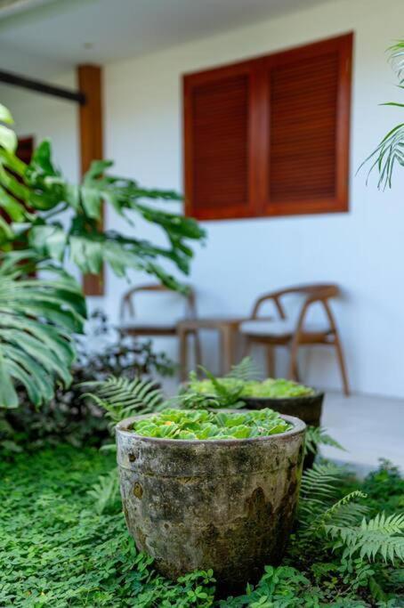 Villa Mimpi Nyata Canggu Exteriör bild