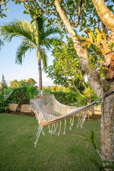 Villa Mimpi Nyata Canggu Exteriör bild